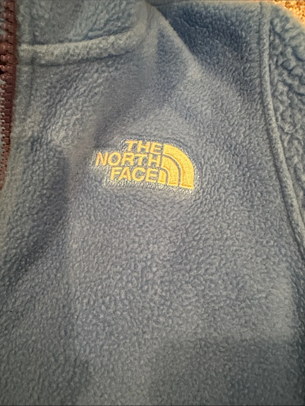 The North Face Kids Two-Tone Blue Hooded Fleece Jacket